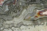 Polished Crazy Lace Agate Slab - Mexico #141202-1